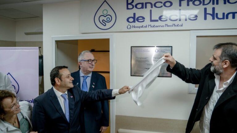 Inauguran el primer Banco de Leche Humana en Misiones imagen-40