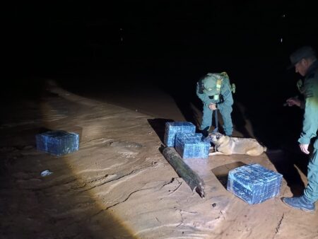 Gendarmería secuestró 97 kilos de estupefacientes imagen-7