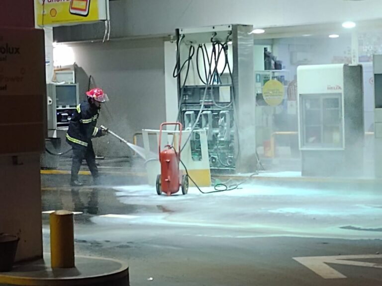 Extinguen principio de incendio en estación de servicio de Gobernador Roca imagen-5