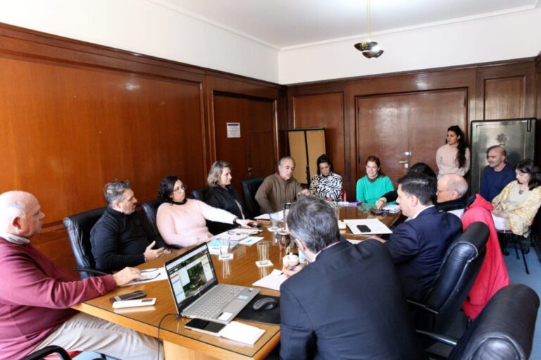 El ministro de Ecología impulsó iniciativas ambientales clave en reuniones con la Cofema  imagen-20