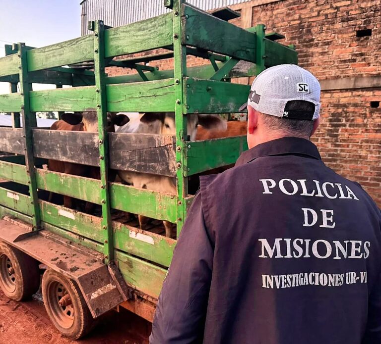 Policías frustraron el robo de ganado: tres vacunos recuperados y una camioneta secuestrada imagen-24