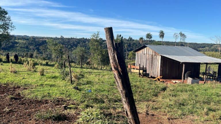 Macabro: hallaron parte del cuerpo de un hombre en una chacra de Piñalito Norte imagen-45