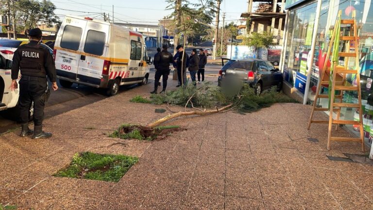 Se desmayó mientras manejaba y terminó contra un poste imagen-36