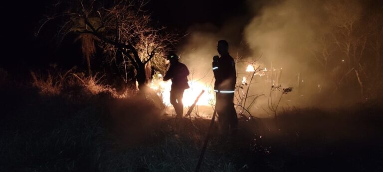 Activaron el protocolo de prevención de incendios forestales en Misiones imagen-14