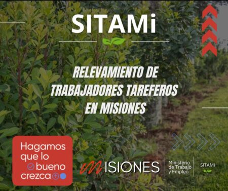 Inicio del relevamiento de trabajadores tareferos imagen-3