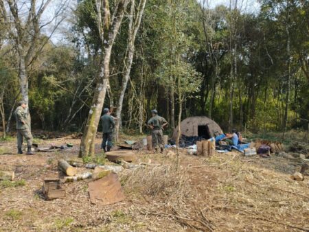 Frenan apeo ilegal de madera nativa en Caraguatay imagen-5