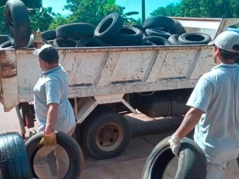 Refuerzan prevención del Dengue con el retiro de neumáticos en desuso de gomerías locales imagen-7