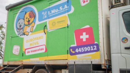 Salud de las mascotas: cronograma del Imusa para la semana imagen-10