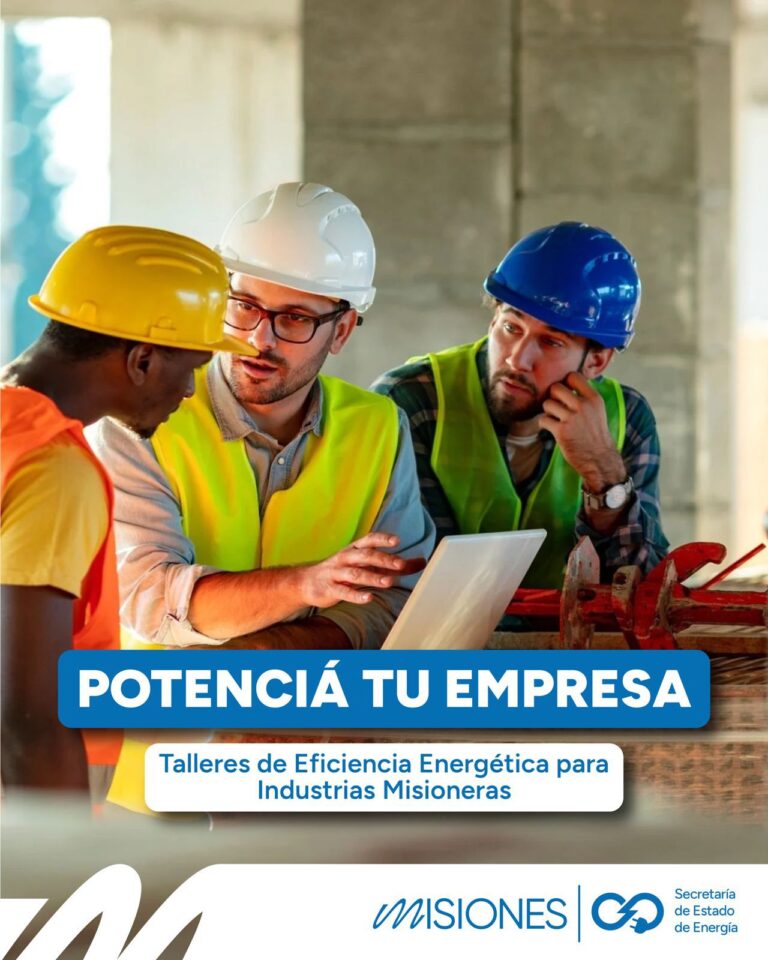 Vuelven los Talleres de Eficiencia Energética para Industrias Misioneras imagen-2