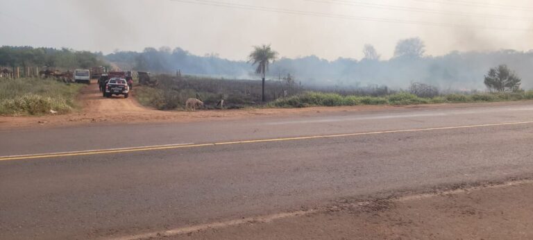 Sofocan incendio de malezas en Santa Ana imagen-17