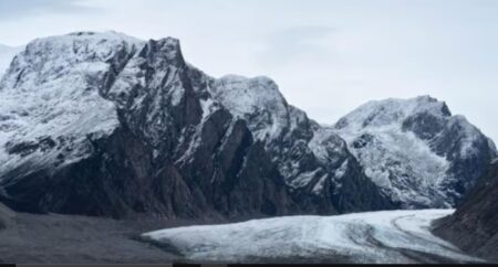 Desde microbios a mamíferos: cómo resurge la vida en los sitios de la Tierra donde se derriten los glaciares imagen-5