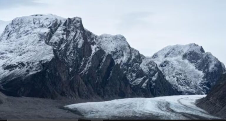 Desde microbios a mamíferos: cómo resurge la vida en los sitios de la Tierra donde se derriten los glaciares imagen-47