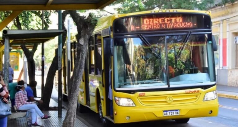 Hay paro de colectivos por 48 horas que incluiría a Posadas imagen-10