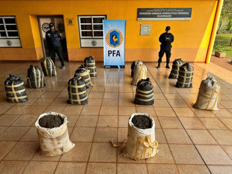 Decomisaron más de 200 kilos de marihuana en Piray imagen-17