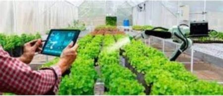 Lanzan una app con Inteligencia Artificial para productores agropecuarios imagen-3