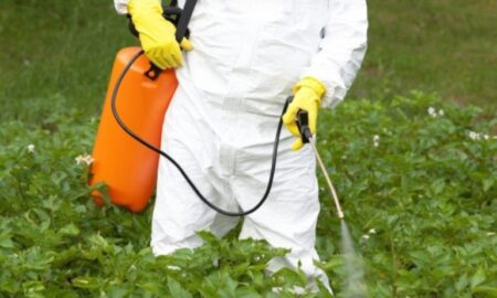 El Gobierno de Misiones prorrogó por cinco años el plazo de prohibición del uso del glifosato en todo el territorio provincial imagen-3