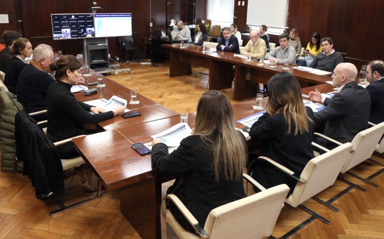 Dengue: en encuentro virtual de autoridades sanitarias, Misiones expuso experiencia del plan provincial de prevención imagen-4