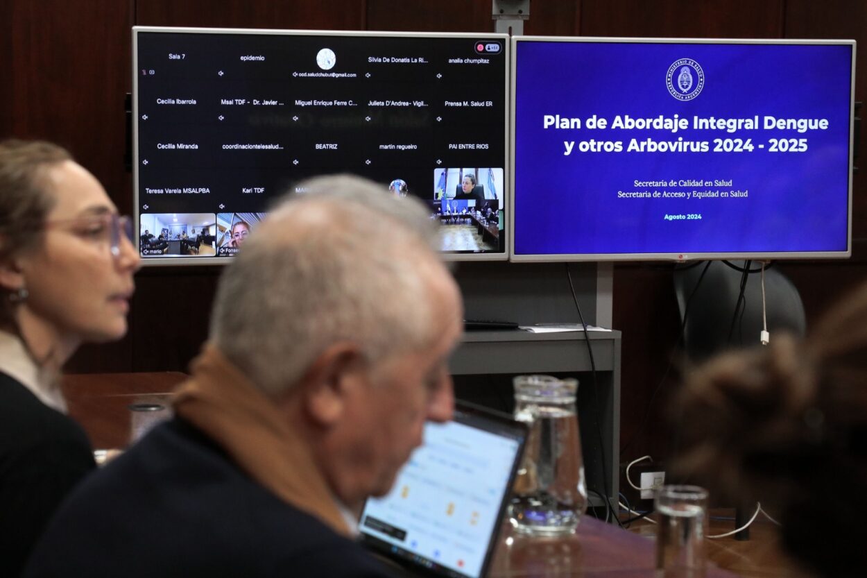 Dengue: en encuentro virtual de autoridades sanitarias, Misiones expuso experiencia del plan provincial de prevención imagen-8