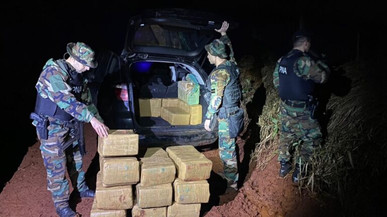 Operativo en Misiones: Prefectura decomisó un cargamento millonario de marihuana imagen-25