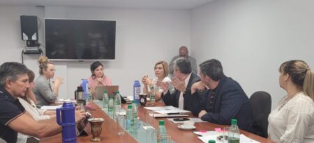 Avanza el tratamiento de un proyecto legislativo para proteger a los misioneros de los ciberdelitos imagen-4