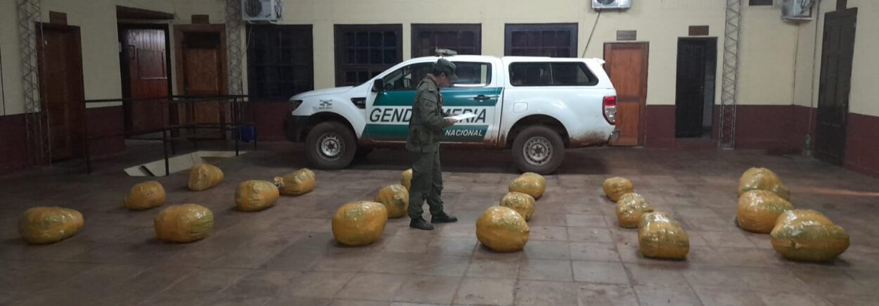 Hallan más de 280 kilos de cogollos de marihuana acopiados entre la maleza imagen-2