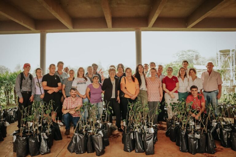 Continúa la entrega de plantines a productores citrícolas imagen-48