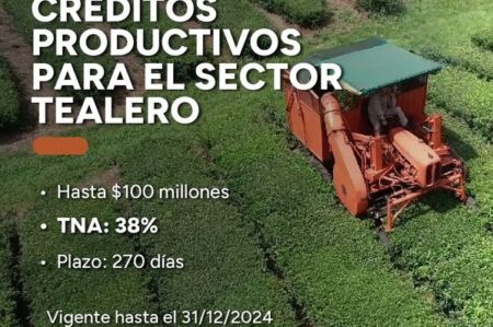 Destacan que los créditos al sector productivo producen un «efecto de multiplicación» que finalmente incentiva la reactivación económica de todas las actividades Destacan que los créditos al sector productivo producen un "efecto de multiplicación" que finalmente incentiva la reactivación económica de todas las actividades imagen-9