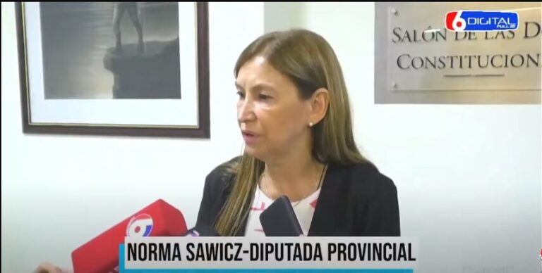 "La capacitación es una inversión en el futuro de la profesión de los martilleros y corredores de la provincia” destacó la diputada Sawicz imagen-10