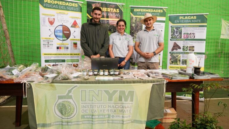 El Alto Uruguay cerró la cosecha de Yerba Mate con una jornada técnica imagen-41