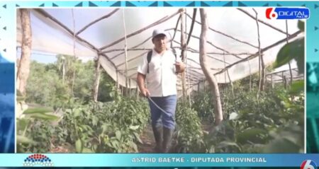 Legislatura instituye a septiembre como «Mes de la Agroecología» Legislatura instituye a septiembre como "Mes de la Agroecología" imagen-2