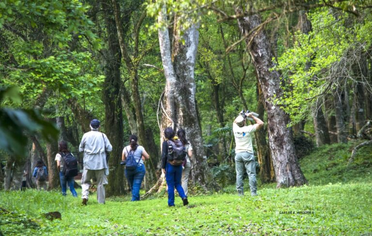 Más de 70 aves registradas en avistaje realizado en las Misiones Jesuíticas de Loreto imagen-29