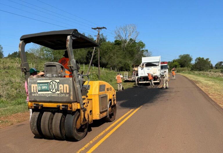 El programa "Mejores Rutas" ejecutó obras en la RP 223 imagen-21