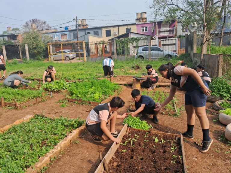 Con la asistencia de "Manos Productivas", Escuela Don Bosco retoma el Proyecto de Huerta Orgánica Comunitaria imagen-11