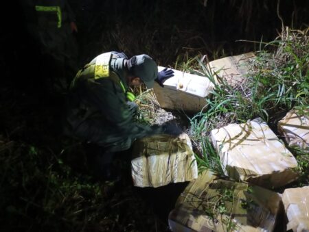 Patrulla de Gendarmería hallo 196 kilos de marihuana a orillas del río Paraná imagen-8