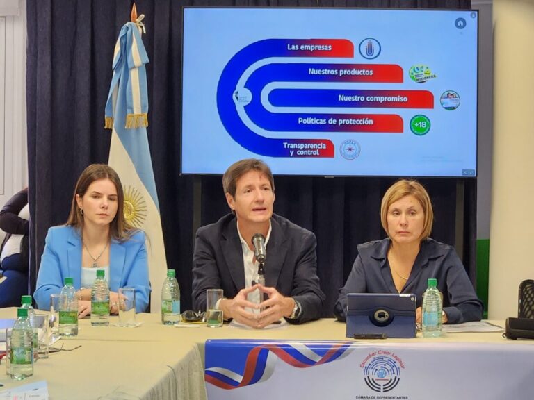 Iplyc: el juego de azar aportará casi $40 mil millones a la economía misionera en 2025 imagen-22