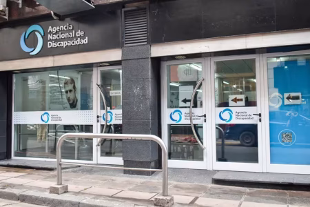 El Gobierno eliminará más de 120.000 pensiones: quiénes serán los afectados y cuáles son los criterios imagen-9