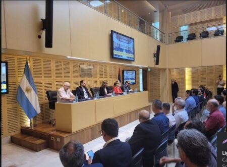 Legislatura: conmemoraron el 50 aniversario de la Ley 493/74 de Martilleros y Corredores públicos Legislatura: conmemoraron el 50 aniversario de la Ley 493/74 de Martilleros y Corredores públicos imagen-9