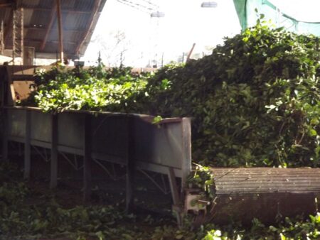 Este viernes se inicia el ciclo «Sabor a lo Nuestro» en el museo Guacurarí Este viernes se inicia el ciclo "Sabor a lo Nuestro" en el museo Guacurarí imagen-3