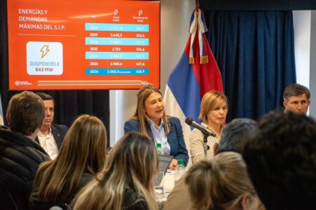 Energía de Misiones, con un incremento estimado del 111 % en su Presupuesto 2025 para mejorar la potencia eléctrica y asignar un monto «significativo» para atender la cuestión social Energía de Misiones, con un incremento estimado del 111 % en su Presupuesto 2025 para mejorar la potencia eléctrica y asignar un monto "significativo" para atender la cuestión social imagen-10