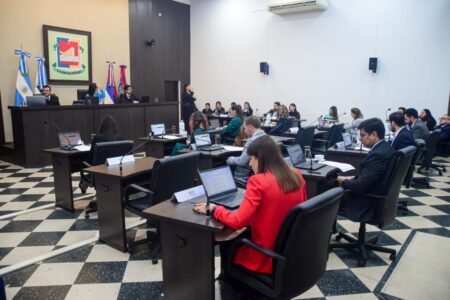 Estado eficiente e inclusión digital: concejales posadeños sumaron iniciativas para agilizar trámites Estado eficiente e inclusión digital: concejales posadeños sumaron iniciativas para agilizar trámites imagen-10