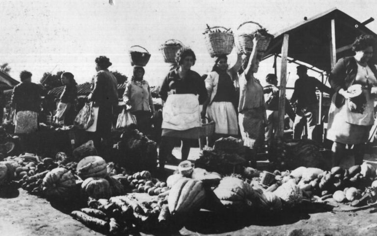 Mercado Modelo La Placita, un viaje a través de la historia y la cultura Mercado Modelo La Placita, un viaje a través de la historia y la cultura imagen-14