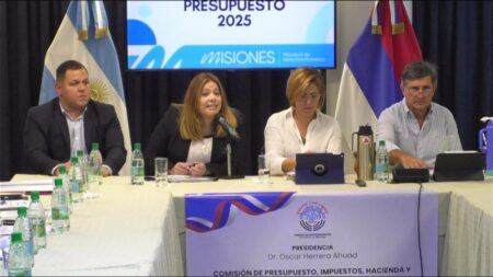 Presupuesto 2025: el Ministerio de Derechos Humanos estimó en poco más de $5 mil millones Presupuesto 2025: el Ministerio de Derechos Humanos estimó en poco más de $5 mil millones imagen-8