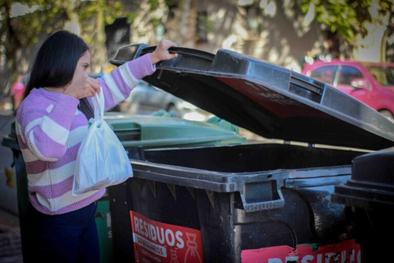 Implementarán un nuevo esquema de recolección de residuos en el microcentro posadeño Implementarán un nuevo esquema de recolección de residuos en el microcentro posadeño imagen-13