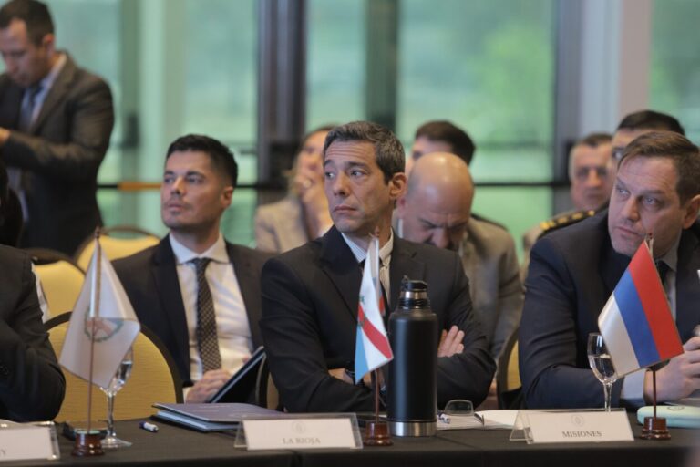 Misiones participó del III Consejo de Seguridad Interior en Salta Misiones participó del III Consejo de Seguridad Interior en Salta imagen-1