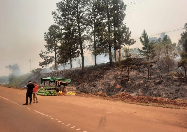 Vendedor de sandías arrojó la colilla de su cigarrillo sin apagar al malezal y provocó un incendio sobre la ruta 14 imagen-16