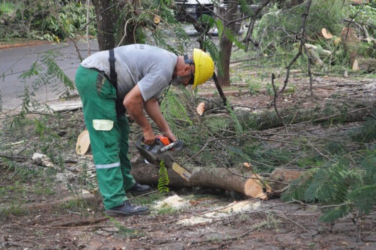 Finalizó el Operativo Integral de Poda en Posadas imagen-34