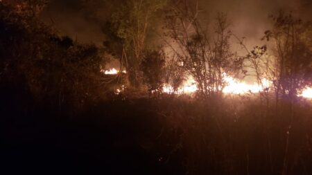 Incendio en malezas y plantaciones de Yerba Mate en Santo Pipó imagen-3