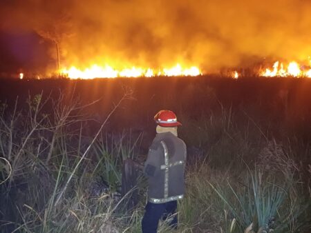 En la última semana bomberos de la Policía combatieron 46 focos de incendios imagen-10