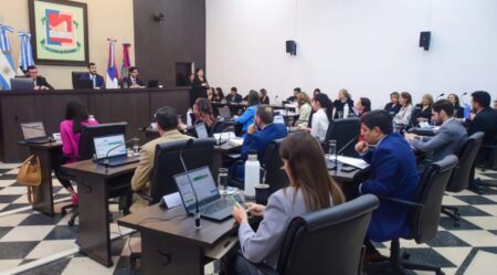 Del barrio al recinto: la voz de los vecinos en el HCD posadeño imagen-9