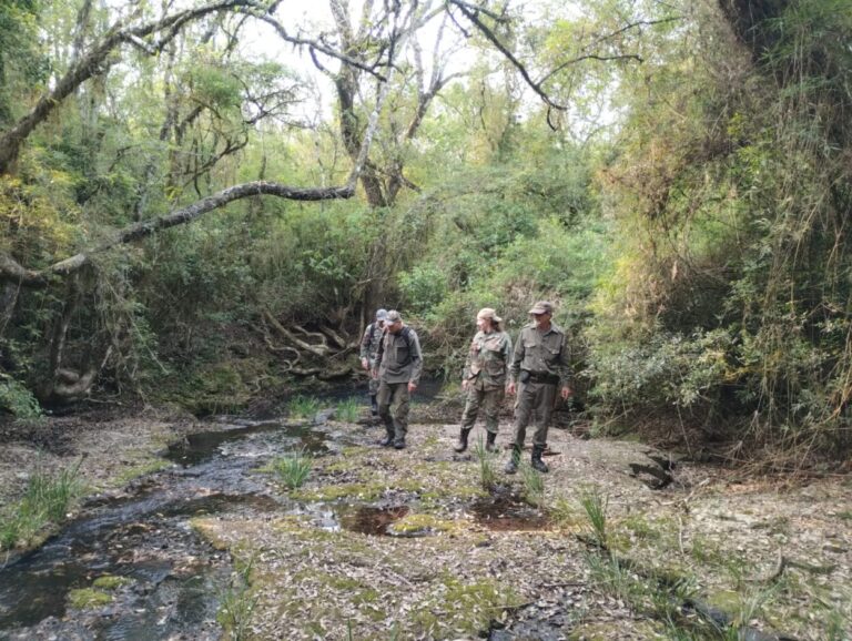 El Grupo de Operaciones en Selva zona Sur patrulló el Parque de la Sierra y hallaron huellas de cazadores y perros imagen-44